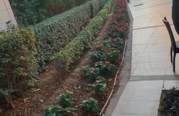 WhatsApp Image 2025-06-26 at 12.06.18