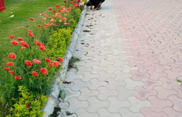 WhatsApp Image 2025-06-27 at 08.14.35